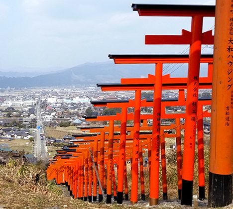 お食事は名物の淡路鯛を1度ではなく2度も味わうことができる”鯛めし＆ひつま鍋”のご昼食と、明石・淡路の「天・地・海」を存分に満喫するツアー