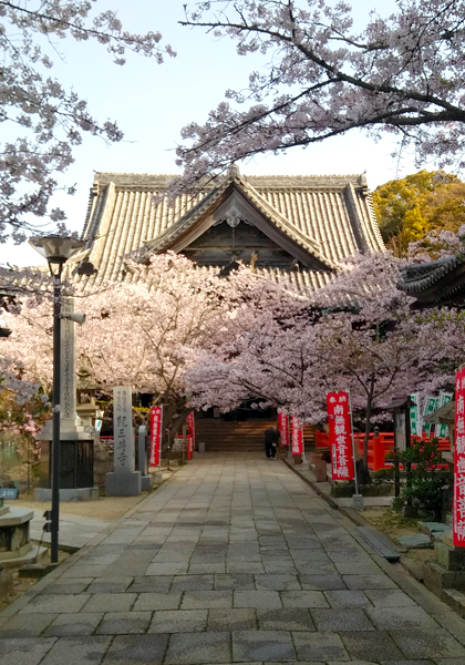 西国三十三札所中で最大の難所と呼ばれる「4番：施福寺」